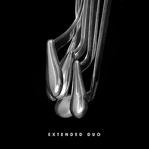 Extended Duo · Capa