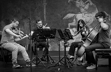 Miso String Quartet