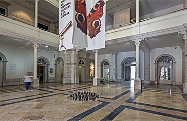 Museu Nacional de História Natural e da Ciência